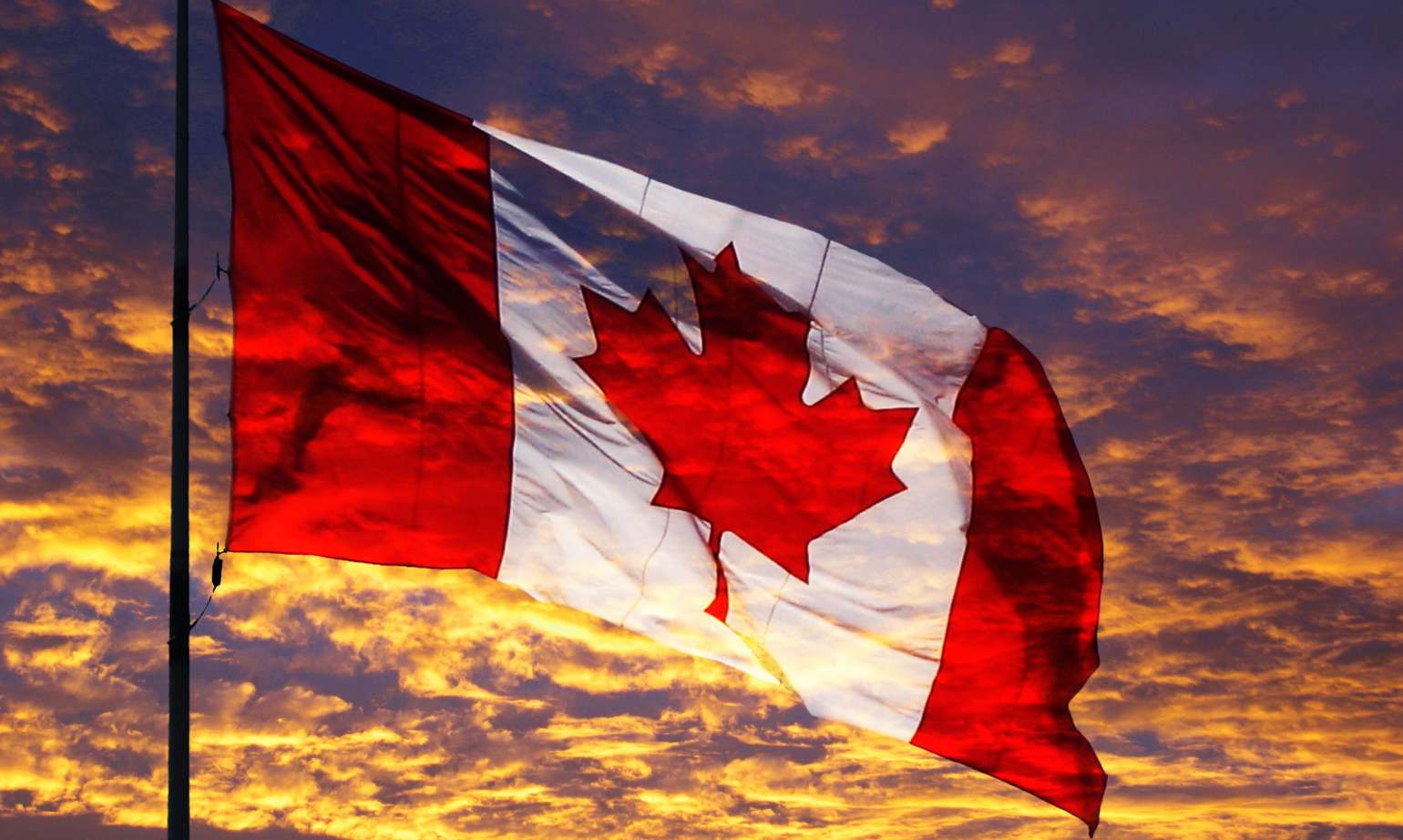 Immigration And Marriage: What Happens If You Marry Or Divorce