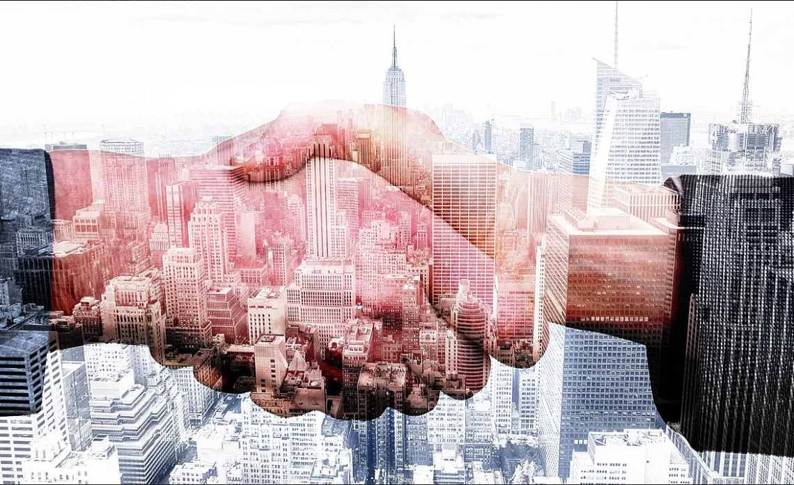 Business and investment programs