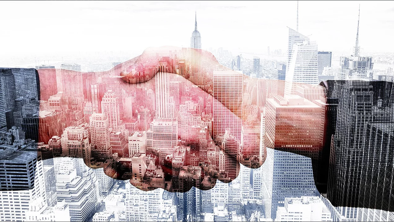 Business and investment programs